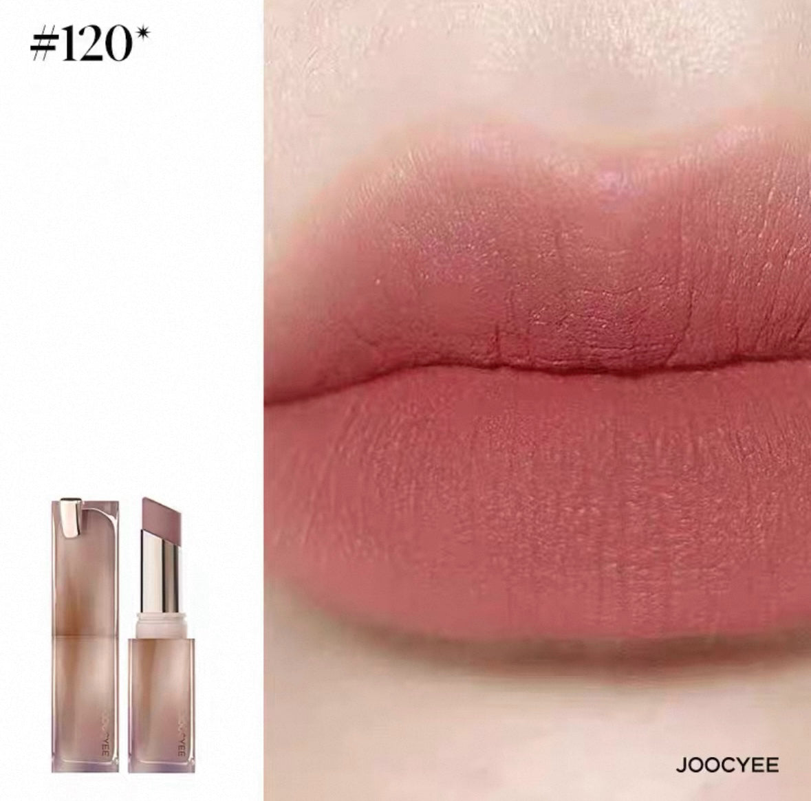 JOOCYEE Matte Muddy Rouge